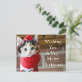 赤いクリスマスの子猫 シーズンポストカード (スタンド正面)