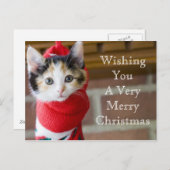 赤いクリスマスの子猫 シーズンポストカード (正面/裏面)