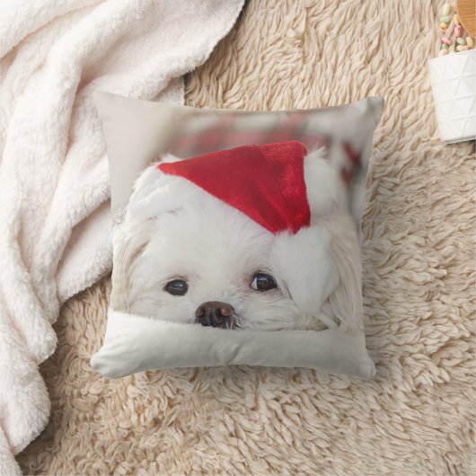 赤いクリスマスの帽子をかぶったかわいい白犬 クッション (ブランケット)