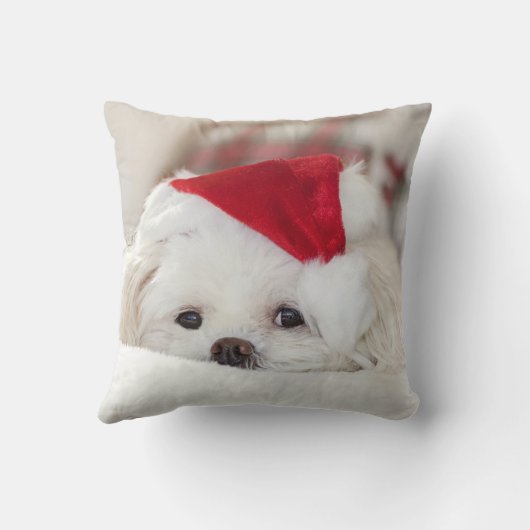赤いクリスマスの帽子をかぶったかわいい白犬 クッション (裏面)