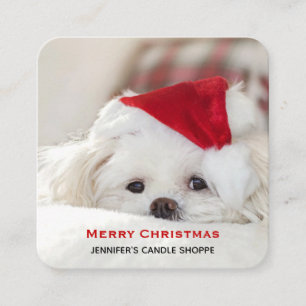 赤いクリスマスの帽子をかぶったかわいい白犬 スクエア名刺