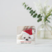 赤いクリスマスの帽子をかぶったかわいい白犬 スクエア名刺 (スタンド正面)