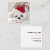 赤いクリスマスの帽子をかぶったかわいい白犬 スクエア名刺 (正面/裏面)