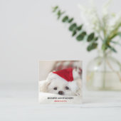 赤いクリスマスの帽子をかぶったかわいい白犬 スクエア名刺 (スタンド正面)