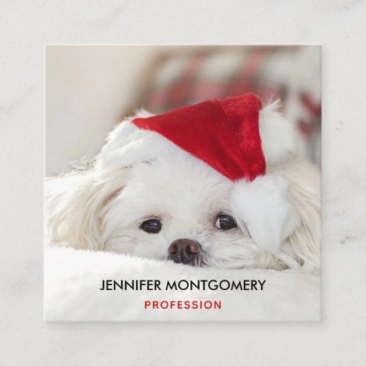 赤いクリスマスの帽子をかぶったかわいい白犬 スクエア名刺 (正面)
