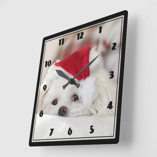 赤いクリスマスの帽子をかぶったかわいい白犬 スクエア壁時計 (傾斜)