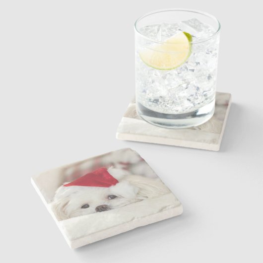 赤いクリスマスの帽子をかぶったかわいい白犬 ストーンコースター (横)