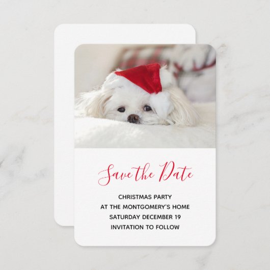 赤いクリスマスの帽子をかぶったかわいい白犬 セーブザデート (正面/裏面)