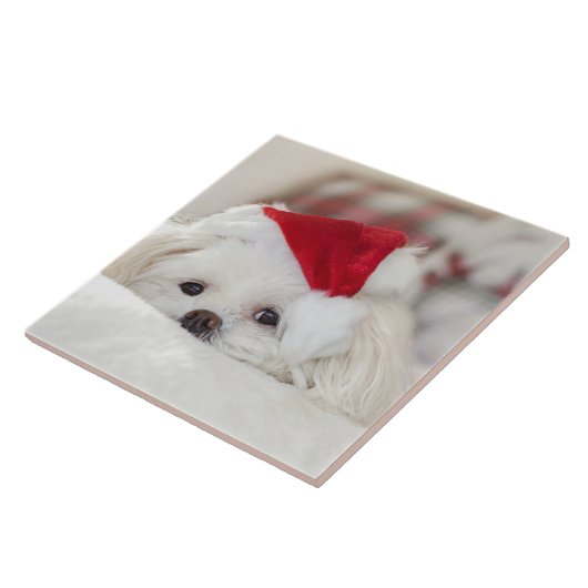 赤いクリスマスの帽子をかぶったかわいい白犬 タイル (側面)