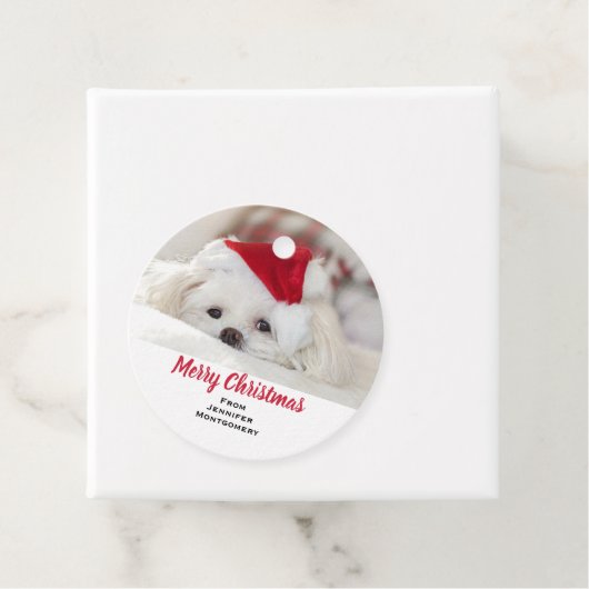 赤いクリスマスの帽子をかぶったかわいい白犬 フェイバータグ (インサイチュ)
