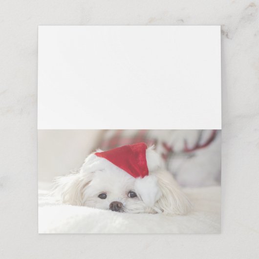 赤いクリスマスの帽子をかぶったかわいい白犬 プレイスカード (外部開封)