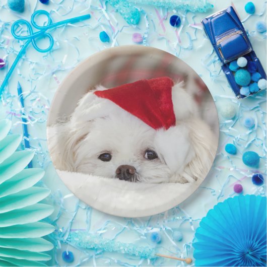 赤いクリスマスの帽子をかぶったかわいい白犬 ペーパープレート (パーティー)