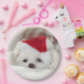 赤いクリスマスの帽子をかぶったかわいい白犬 ペーパープレート (パーティー)