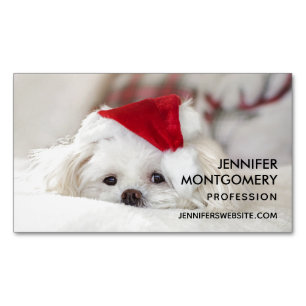 赤いクリスマスの帽子をかぶったかわいい白犬 マグネット名刺