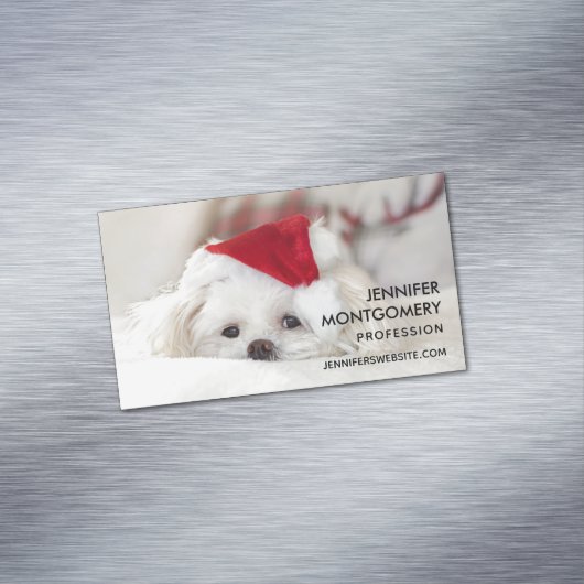 赤いクリスマスの帽子をかぶったかわいい白犬 マグネット名刺 (インサイチュ)