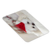 赤いクリスマスの帽子をかぶったかわいい白犬 マグネット (右側)