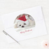 赤いクリスマスの帽子をかぶったかわいい白犬 ラウンドシール (封筒)