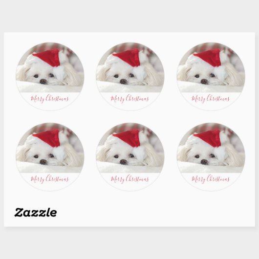 赤いクリスマスの帽子をかぶったかわいい白犬 ラウンドシール (シート)