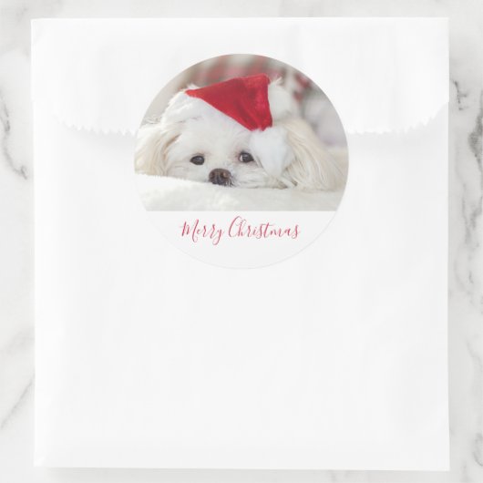 赤いクリスマスの帽子をかぶったかわいい白犬 ラウンドシール (バッグ)