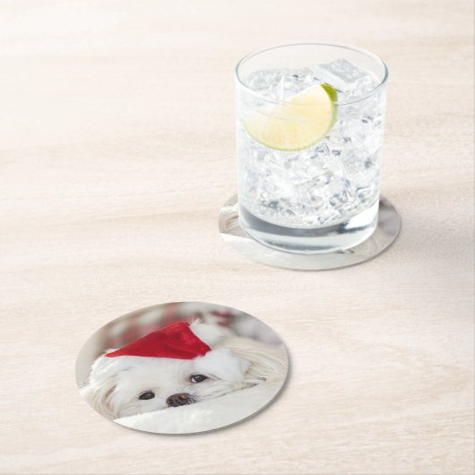 赤いクリスマスの帽子をかぶったかわいい白犬 ラウンドペーパーコースター (インサイチュ)