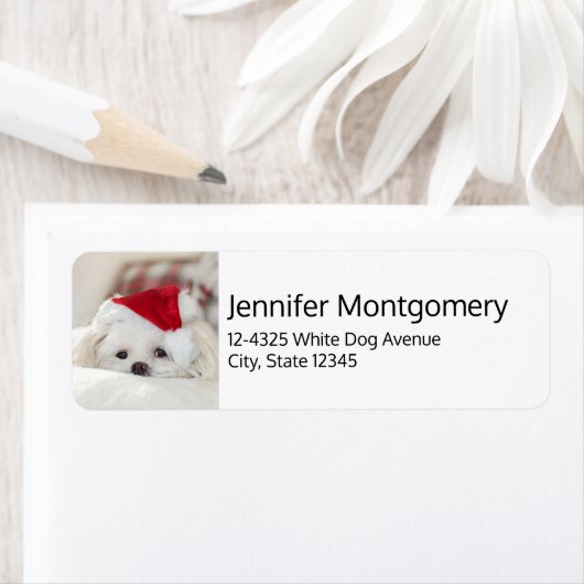 赤いクリスマスの帽子をかぶったかわいい白犬 ラベル (インサイチュ)