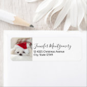 赤いクリスマスの帽子をかぶったかわいい白犬 ラベル (インサイチュ)