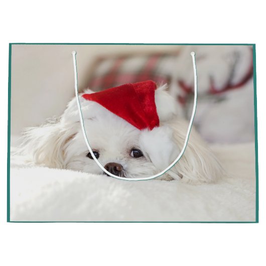 赤いクリスマスの帽子をかぶったかわいい白犬 ラージペーパーバッグ (正面)