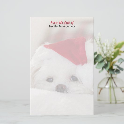 赤いクリスマスの帽子をかぶったかわいい白犬 便箋 (スタンド正面)