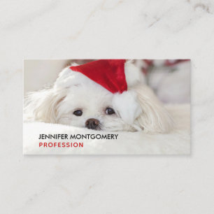 赤いクリスマスの帽子をかぶったかわいい白犬 名刺