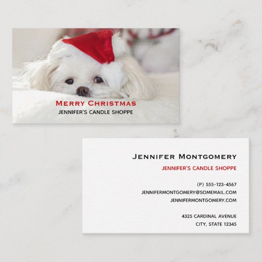 赤いクリスマスの帽子をかぶったかわいい白犬 名刺 (正面/裏面)