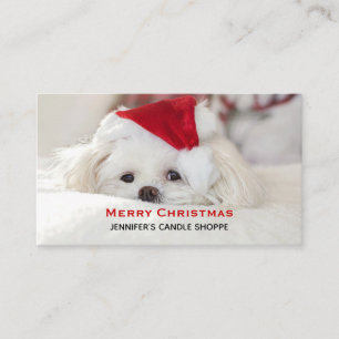赤いクリスマスの帽子をかぶったかわいい白犬 名刺