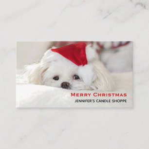 赤いクリスマスの帽子をかぶったかわいい白犬 名刺