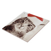 赤いクリスマスの帽子を身に着けている国内虎猫猫 タイル (側面)