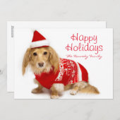 赤いクリスマスを身に着けている長い髪のダックスフント シーズンカード (正面/裏面)