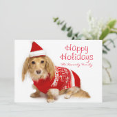 赤いクリスマスを身に着けている長い髪のダックスフント シーズンカード (スタンド正面)