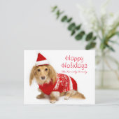 赤いクリスマスを身に着けている長い髪のダックスフント シーズンポストカード (スタンド正面)