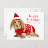 赤いクリスマスを身に着けている長い髪のダックスフント シーズンポストカード (正面/裏面)