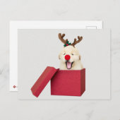 赤いクリスマスギフトボックスにゴールデンレトリバーの子犬 ポストカード (正面/裏面)