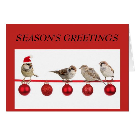赤いクリスマスグリーティングカードの小鳥 (正面横)
