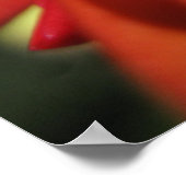 赤いクリスマスサボテンの花 ポスター (角)