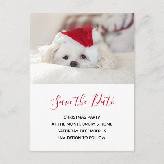 赤いクリスマスハットに可愛い白い犬がデートを守る インビテーションポストカード (正面)