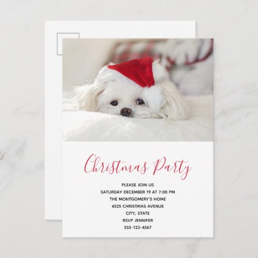 赤いクリスマスハットの可愛い白犬パーティー インビテーションポストカード (正面/裏面)