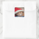 赤いクリスマスハットの小さな子猫 スクエアシール (バッグ)