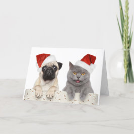 赤いクリスマスハットの犬と猫 シーズンカード