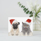 赤いクリスマスハットの犬と猫 シーズンポストカード (スタンド正面)