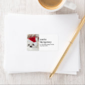 赤いクリスマスハットをかぶったかわいい白い犬 ラベル (インサイチュ)