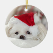赤いクリスマスハットを着たかわいい白い犬 セラミックオーナメント (正面)