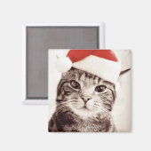 赤いクリスマスハットを着た国内のタビーネコ マグネット (正面/裏面)