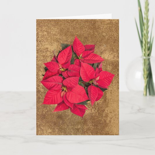 赤いクリスマスフラワーオン抽象芸術金ゴールド紙 シーズンカード (正面)
