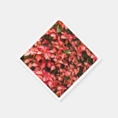 赤いクリスマスフラワー「ポインセチア」 スタンダードカクテルナプキン (角)